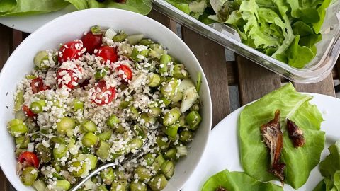 Medical Medium 3 6 9 Cleanse Results