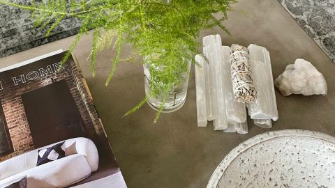 Feel Alive. Make Your Home Feel Alive