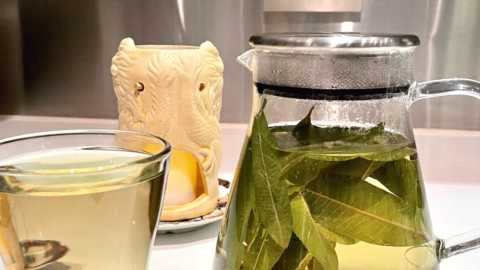 The Best Healthiest Glass Teapot, Whistling Tea Kettles, Airtight Tea Storage, Healthy Organic Tea Brands